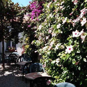 Mitus Hotel Canet De Mar